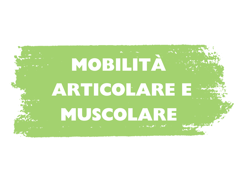 MOBILITÀ ARTICOLARE E MUSCOLARE
