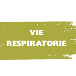 VIE RESPIRATORIE