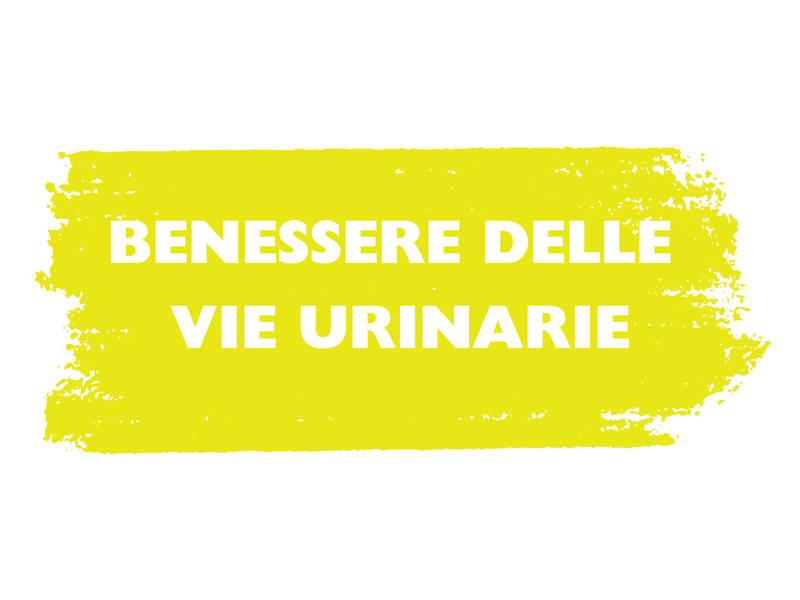 BENESSERE DELLE VIE URINARIE