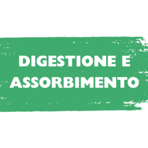 DIGESTIONE E ASSORBIMENTO