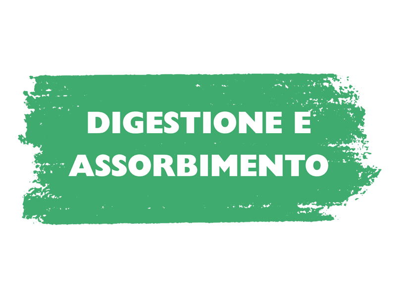 DIGESTIONE E ASSORBIMENTO