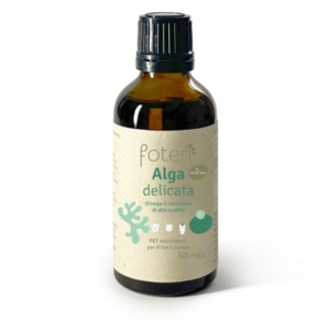 Foten Norsan – Alga Delicata